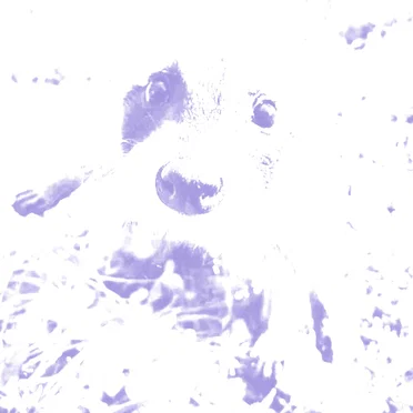 tinyurl.com/3hst93zj by Lamo - album cover