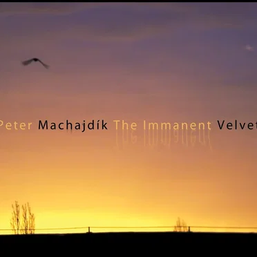 The Immanent Velvet by Peter Machajdík - album cover