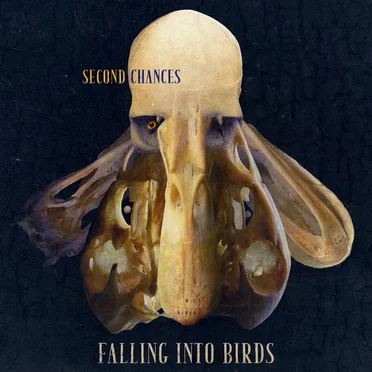 Second Chances