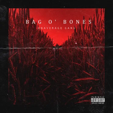 Bag o’ Bones
