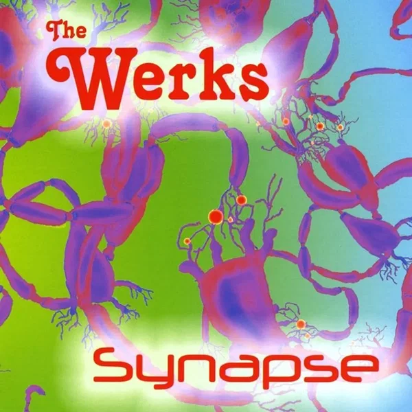 Synapse