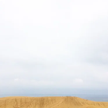 Ebb and Flow