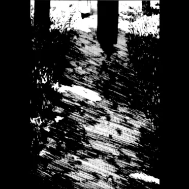 Hollowed Out, Filled With Rose Stems