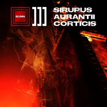 Sirupus Aurantii Corticis by Sunn ■]]] - album cover
