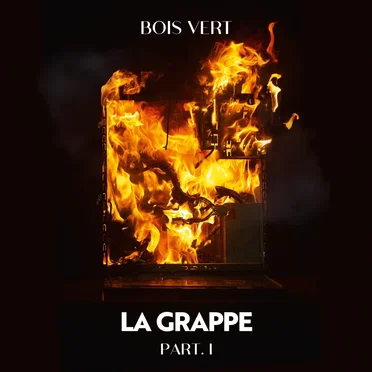 La Grappe (Part. 1) by Bois Vert - album cover