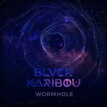 Wormhole (Radio Edit) by BLVCK KARIBOU - album cover