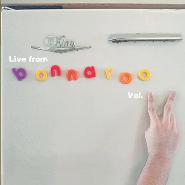 Live From Bonnaroo Vol. 2 by Various Artists - album cover