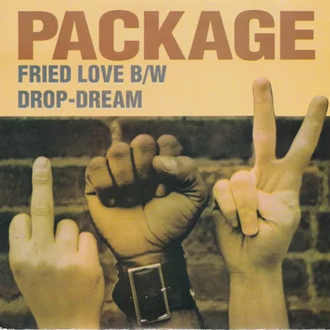 Fried Love / Drop-Dream by Package - album cover
