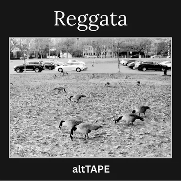 Regatta