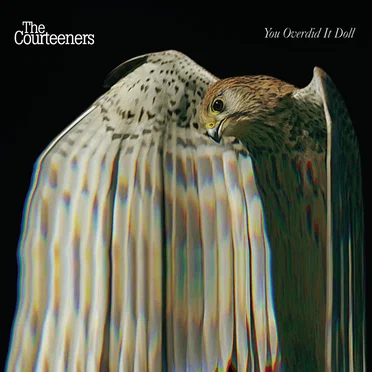 You Overdid It Doll by The Courteeners - album cover