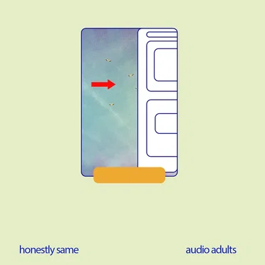 Audio Adults by Honestly Same - album cover