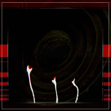 The Gorgon Cylinder