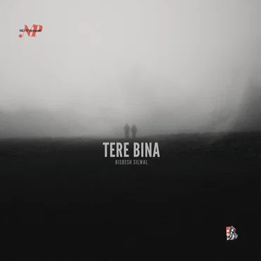 Tere Bina