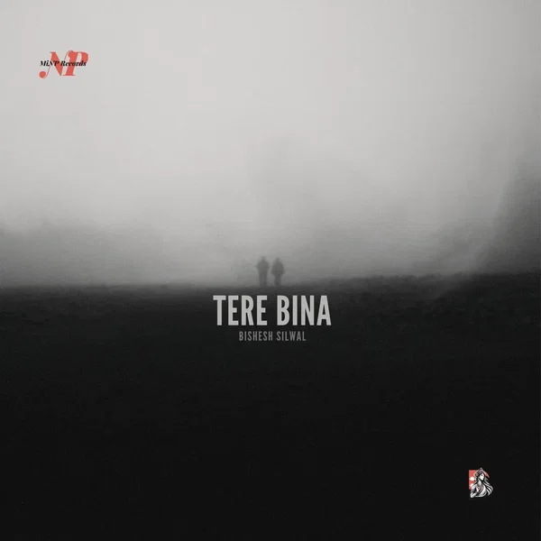 Tere Bina