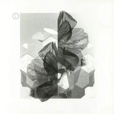 I Certain Magnitude EP