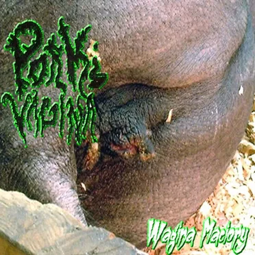Wagina maciory by Porky Vagina - album cover