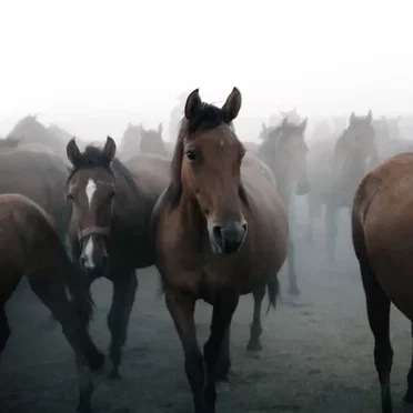 2am in tarragona (wytwäg)- Sunnti Freestyle