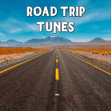 Road Trip Tunes by Various Artists - album cover