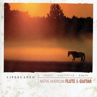 Native American Flute and Guitar by Various Artists - album cover