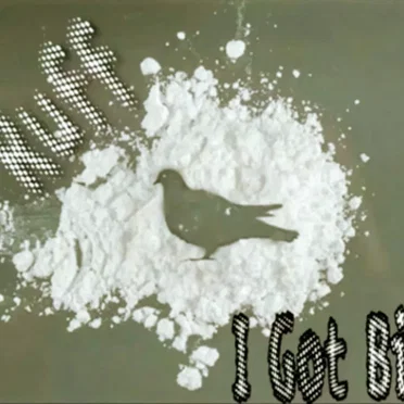 I Got Birds
