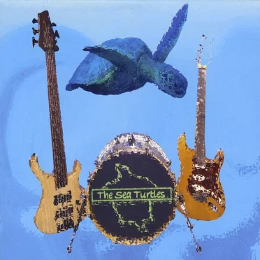 The Sea Turtles by The Sea Turtles - album cover
