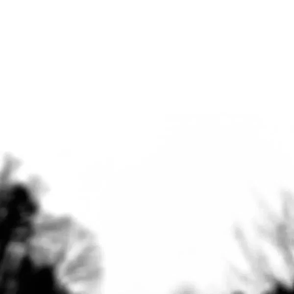 Improvisations for Nylon String Guitar, Part III