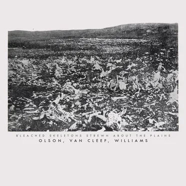 Bleached Skeletons Strewn About the Plains