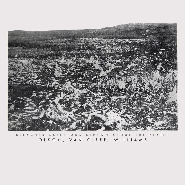 Bleached Skeletons Strewn About the Plains