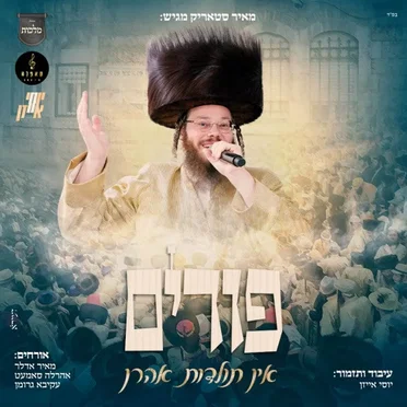 פורים אין תולדות אהרן by מאיר סטאריק - album cover