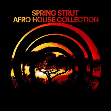 Afro House Collection by Various Artists - album cover