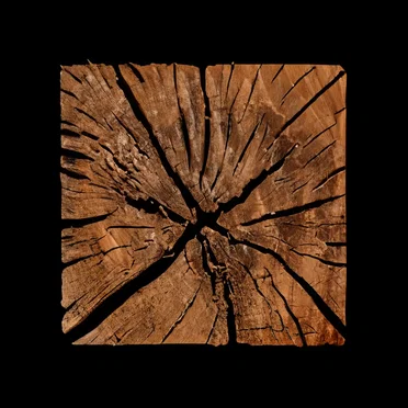 Wrapped Up by Lifts - album cover