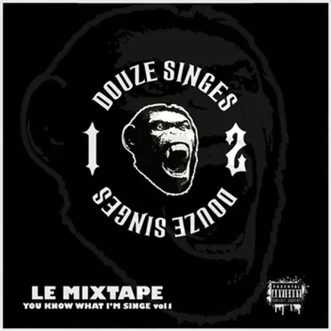 You Know What I'm Singe, Volume 1 by 12singes - album cover