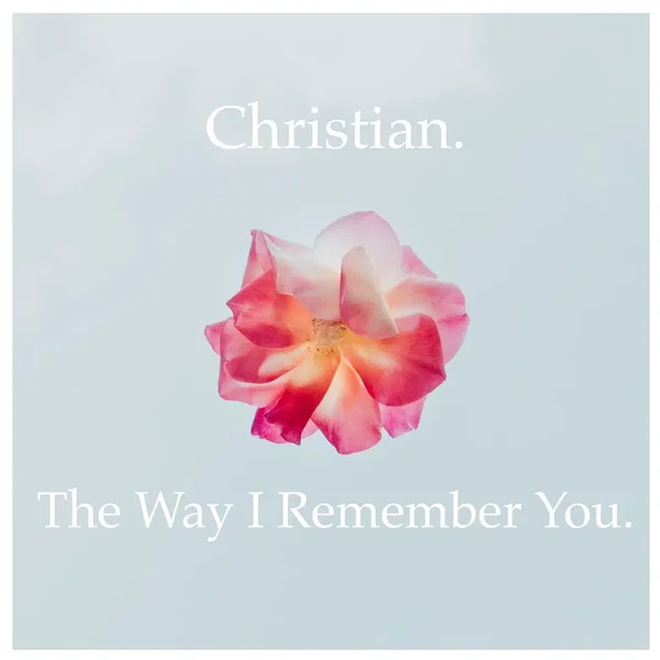 The Way I Remember You.