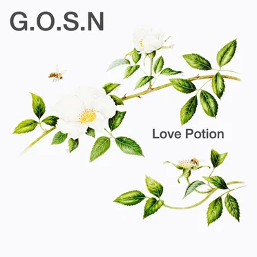 Love Potion / Mockingbirds by Ghosts of Social Networks - album cover