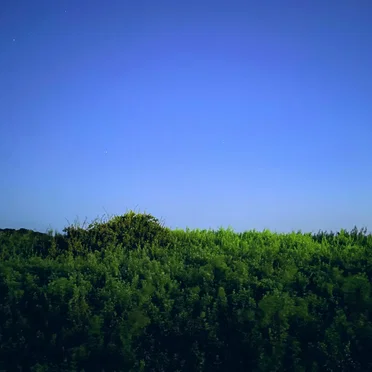 Hayama Ambient