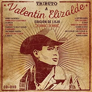 Tributo a Valentin Elizalde edicion de lujo by Various Artists - album cover