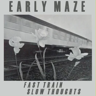 Fast Train, Slow Thoughts