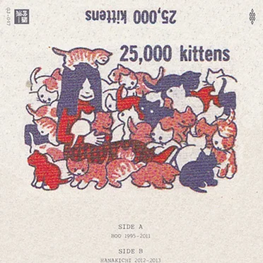 25,000 kittens