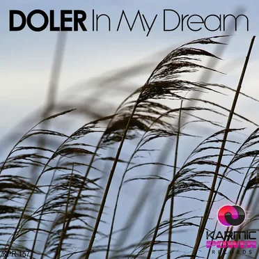 In My Dream by Doler - album cover