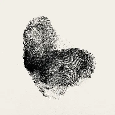 L.N.S.I.