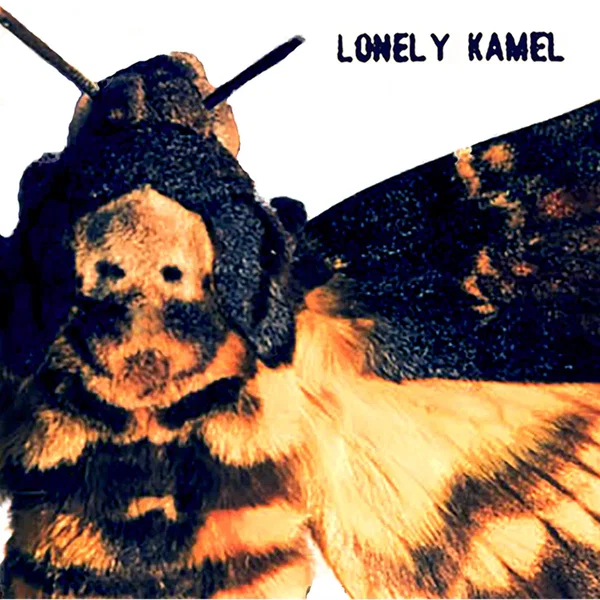 Death’s-Head Hawkmoth