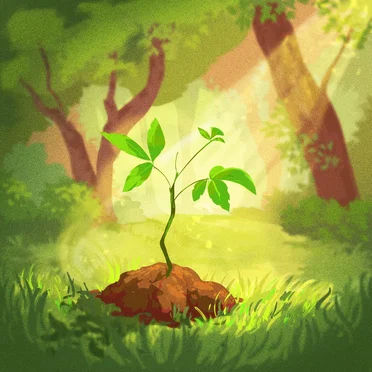 We All Start Somewhere