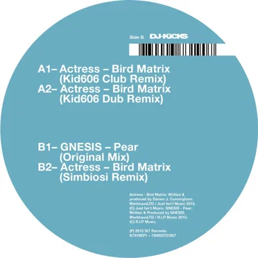Bird Matrix (Remixes)