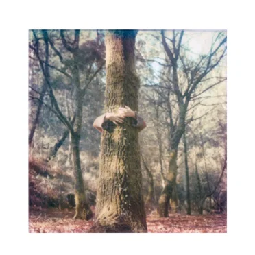 Bois flotté by Rivière Amur - album cover