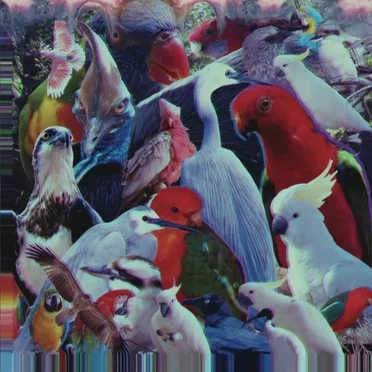 I’d Rather Listen to the Bloody Birds by Strange Forces - album cover