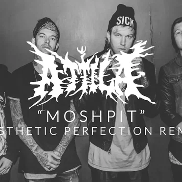 Moshpit (Aesthetic Perfection remix)