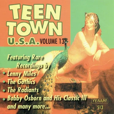 Teen Town USA, Volume 13 by Various Artists - album cover