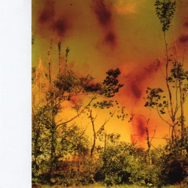Music for Plants by Various Artists - album cover