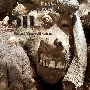 Feed Your Brains by Oil - album cover