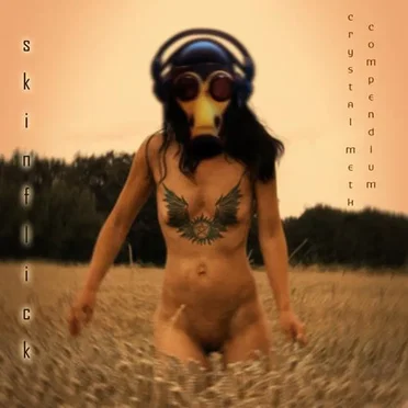 Crystal Meth Compendium by Skinflick - album cover